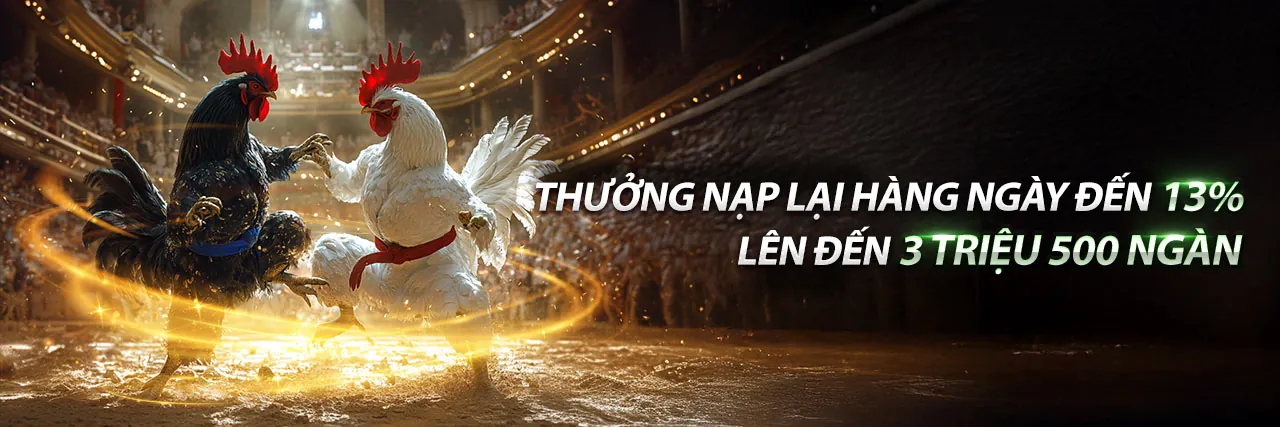 Các loại hình đá gà đa dạng tại 22vip