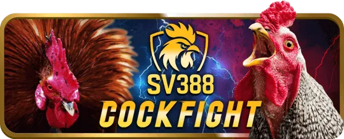 Các chương trình khuyến mãi hấp dẫn từ 22vip
